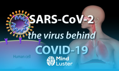 Understanding the Virus that Causes COVID 19 Animation