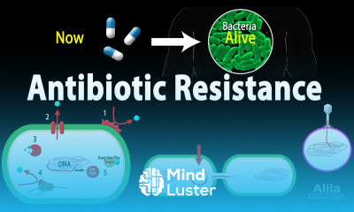 Antibiotic Resistance Animation