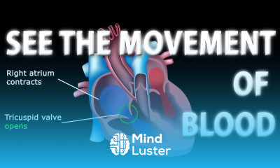 The Pathway of Blood Flow Through the Heart Animation