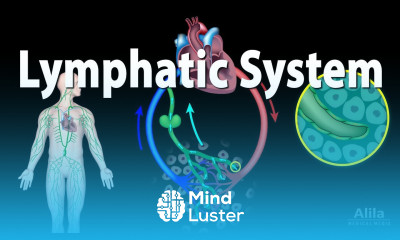 The Lymphatic System Overview Animation