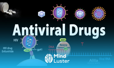 Antiviral Drugs Mechanisms of Action Animation