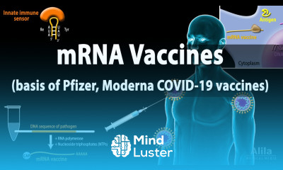 RNA Vaccines mRNA Vaccine Basis of Pfizer and Moderna COVID 19 vaccines Animation