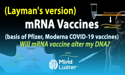 mRNA Vaccines Layman s version Pfizer Moderna COVID 19 vaccines plus some FAQs Animation