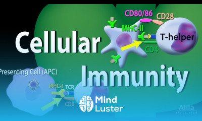 Cellular Immunity Adaptive Immunity part 1 Animation