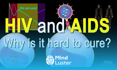 HIV and AIDS Infection Stages Pathology and Treatment Animation