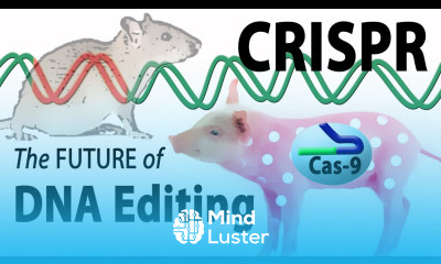 What is CRISPR Animation