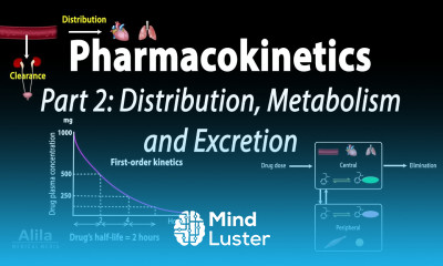Pharmacokinetics part 2 Distribution Metabolism and Excretion Animation