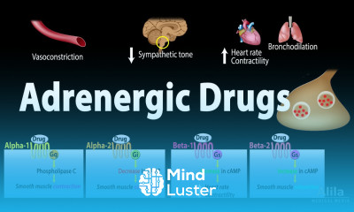 Adrenergic Drugs Pharmacology Animation