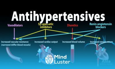 Antihypertensive Medications Pharmacology Animation