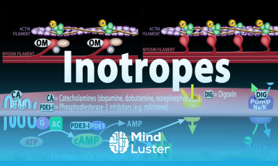 Inotropes Modes of Action Animation