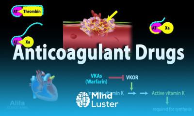Pharmacology Anticoagulants Animation