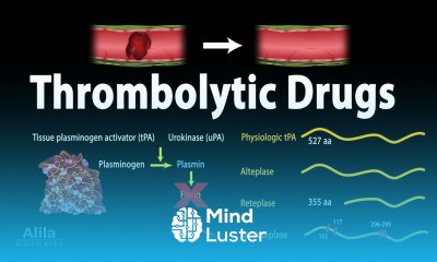Pharmacology Thrombolytic Fibrinolytic Drugs Animation
