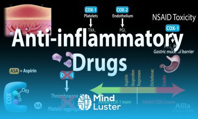 Anti inflammatory NSAIDs Drugs Pharmacology Animation
