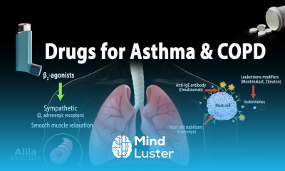 Pharmacology Drugs for Asthma and COPD Animation