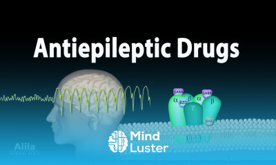 Pharmacology Antiepileptic Drugs Animation