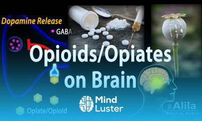 Opioids Mechanism of Action Addiction Dependence and Tolerance Animation