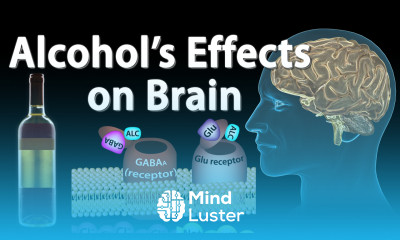 Effects of Alcohol on the Brain Animation Professional version