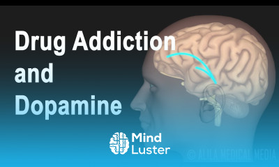 Mechanism of Drug Addiction in the Brain Animation
