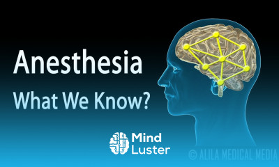 Neuroscience Basics Anesthesia How it Works Animation