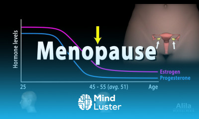 Menopause Perimenopause Symptoms and Management Animation