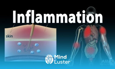 Inflammatory Response Animation