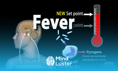Induction of Fever Control of Body Temperature Hyperthermia Animation