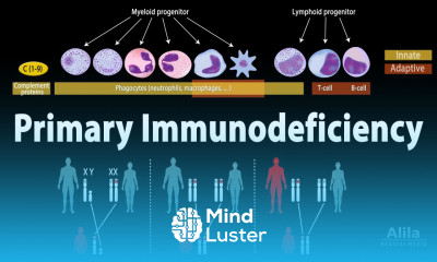 Primary Immunodeficiency Disorder PID Animation