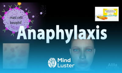 Anaphylaxis Animation