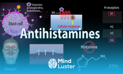 Histamine and Antihistamines Pharmacology Animation