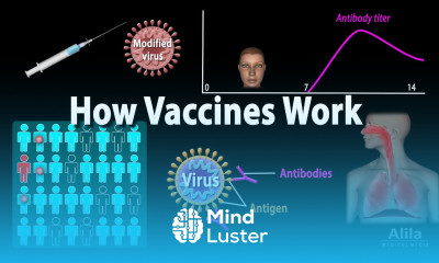 How Vaccines Work Herd Immunity Types of Vaccines Animation