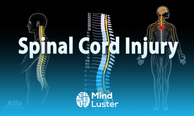 Spinal Cord Injury Animation