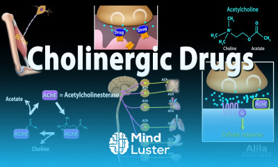 Cholinergic Drugs Pharmacology Animation