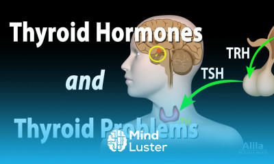 Thyroid Gland Hormones and Thyroid Problems Animation