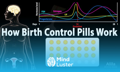 How Birth Control Pills Work Animation