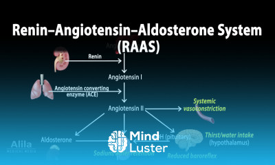 The Renin–Angiotensin–Aldosterone System RAAS Animation