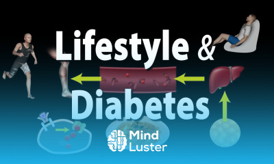 How Unhealthy Lifestyle Can Cause Prediabetes and Diabetes Animation