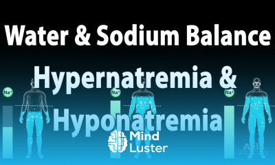 Water and Sodium Balance Hypernatremia and Hyponatremia Animation