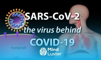 Understanding the Virus that Causes COVID 19 Animation