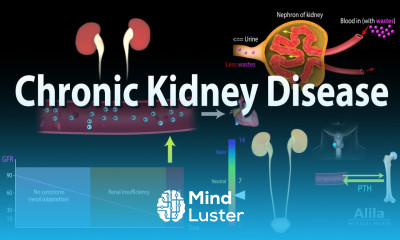 Chronic Kidney Disease Animation