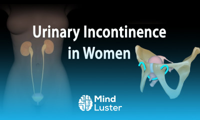 Urinary Incontinence in Women Animation