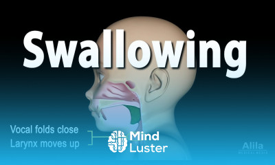Mechanism of Swallowing Animation in Child model