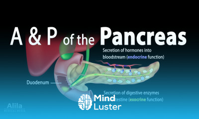 Anatomy and Physiology of the Pancreas Animation