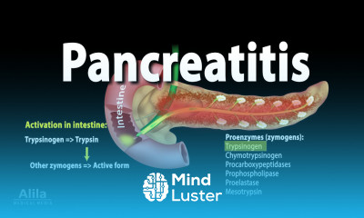 Pancreatitis Acute and Chronic Animation