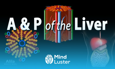 Anatomy and Physiology of the Liver Animation