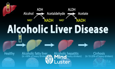 Alcoholic Liver Disease Animation