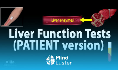 Liver Function Tests Animation for Patients