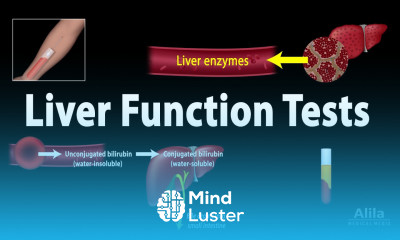 Liver Function Tests LFTs Animation