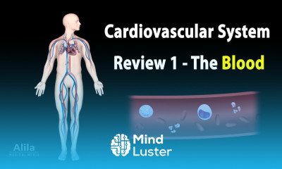CARDIOVASCULAR SYSTEM REVIEW 1 ALL ABOUT the BLOOD in less than 8 min Animation