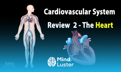 CARDIOVASCULAR SYSTEM REVIEW 2 ALL ABOUT HEART in less than 10 min Animation