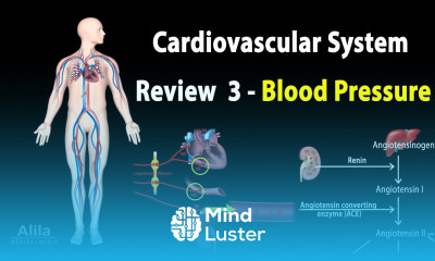 CARDIOVASCULAR REVIEW 3 CONTROL of BLOOD PRESSURE ALL MECHANISMS Animation